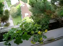 Balkon1.webp