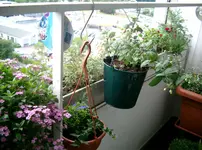 Balkon 014.webp