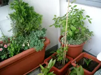 Balkon 015.webp