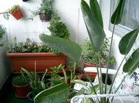Balkon 017.webp