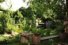Teich.webp