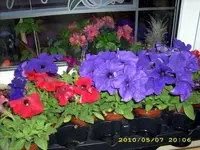 JD500571.webp
