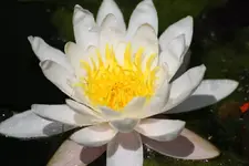 10.06 (7).webp
