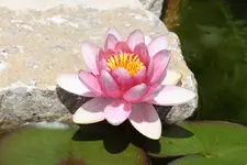 10.06 (5).webp