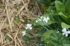 DSC03098.webp