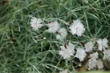 DSC03100.webp