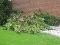 001.webp
