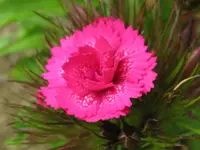 IMG_5947_1024x768.webp