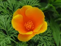 IMG_5944_1024x768.webp
