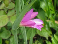 IMG_5942_1024x768.webp