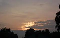 DSC_5454.webp