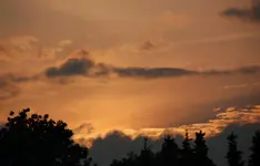 DSC_5464.webp
