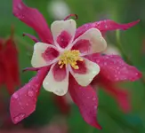 DSC_5433.webp