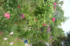 DSC03104.webp