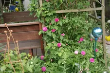 DSC03105.webp