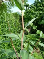 Testfotos 2 008.webp