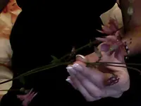 Snapshot_20100610.webp