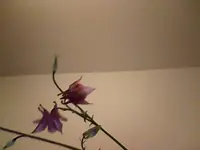 Snapshot_20100610_6.webp