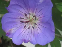 008.webp
