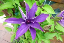 P1010776-1.webp