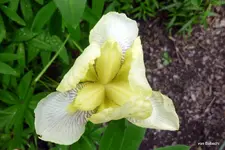P1010778-1.webp