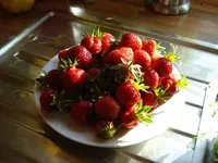 Erdbeeren.webp