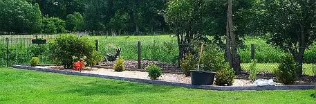 2 Rhodis_3 Azaleen_7 Buchs_2 Sonnenbräute_klein.webp