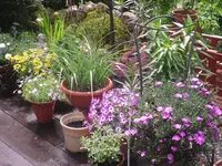 11.06.2010 003.webp