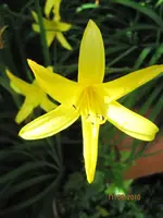 Bild 132.webp