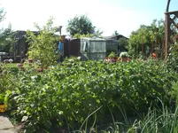 Garten 032.webp