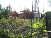 Garten 033.webp