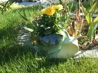 Garten 037.webp