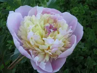 IMG_5989_1024x768.webp