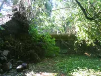 DSC00108.webp