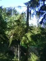 DSC00115.webp