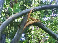 DSC00127.webp