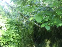 DSC00128.webp