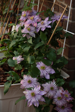 IMG_9330_320x480.webp