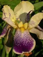 DSCI0967.webp