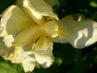 DSCI0964.webp