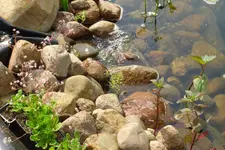 DSC02968.webp