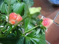 BILD0197.webp