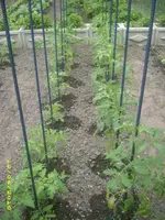 Garten 026.webp
