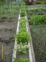 Garten 020.webp