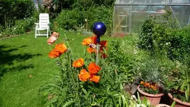 K800_12. Juni.webp