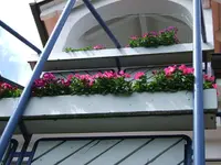 DSCF3492.webp