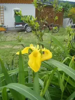 DSCF6622.webp