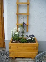 DSCF6623.webp