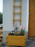 DSCF6624.webp