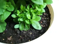 DSCF3497.webp